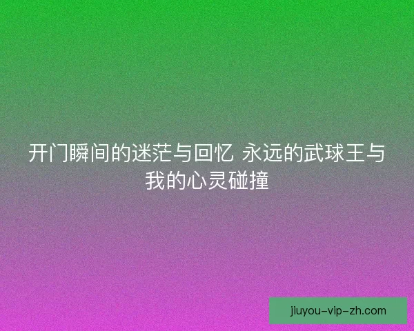 开门瞬间的迷茫与回忆 永远的武球王与我的心灵碰撞